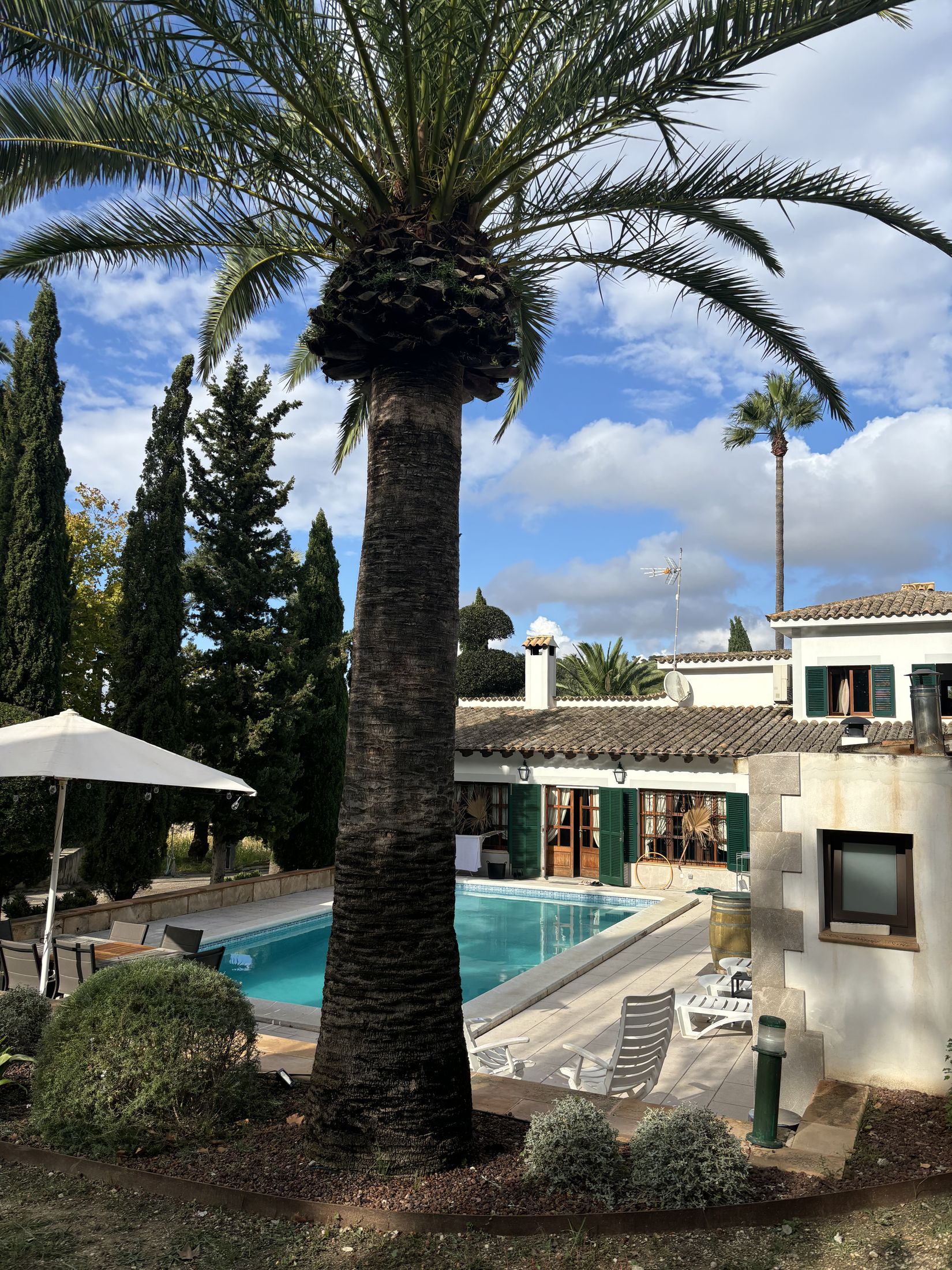 Villa exterior, framed by palms