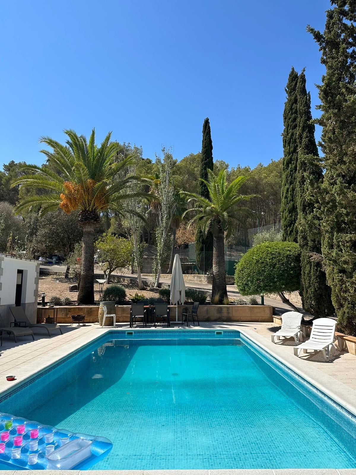 The pool, edged by cypress